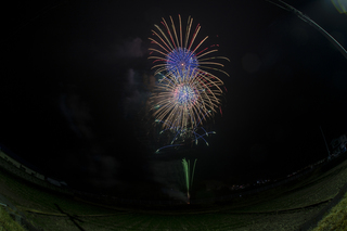 DSC_7506a.jpg