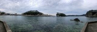 IMG_3973.jpg